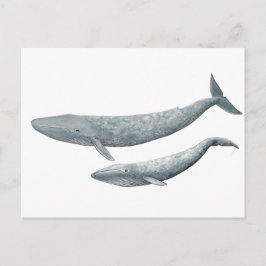 Ballena azul briefkaart