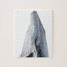 Ballena jorobada - yubarta - retrato