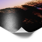 Ballende cyperbomen gedempt bij zonsondergang, foto afdruk (Hoek)