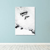 Balleny Islands, vlakbij Antarctica Canvas Afdruk (Insitu (Houten vloer))