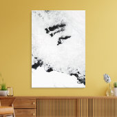 Balleny Islands, vlakbij Antarctica Canvas Afdruk (Insitu (Woonkamer))