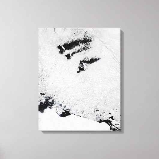 Balleny Islands, vlakbij Antarctica Canvas Afdruk (Voorkant)