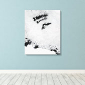 Balleny Islands, vlakbij Antarctica Canvas Afdruk (Insitu (Houten vloer))