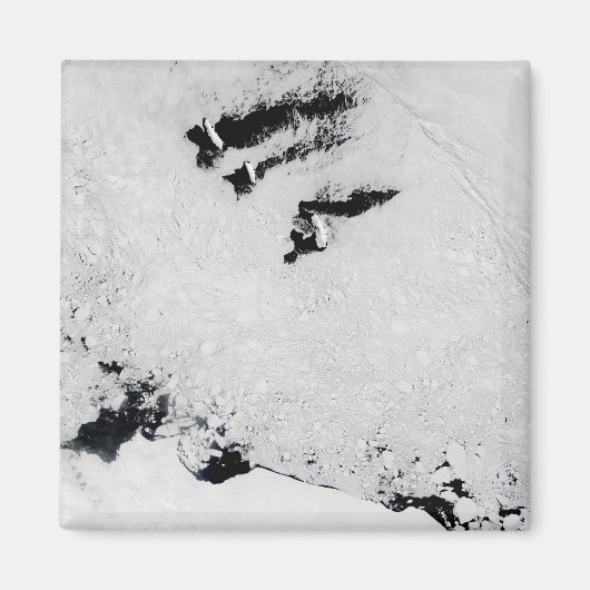 Balleny Islands, vlakbij Antarctica Magneet (Voorkant)