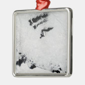 Balleny Islands, vlakbij Antarctica Metalen Ornament (Links)