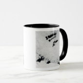 Balleny Islands, vlakbij Antarctica Mok (Voorkant rechts)