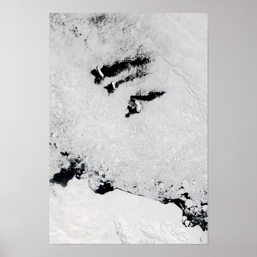Balleny Islands, vlakbij Antarctica Poster (Voorkant)