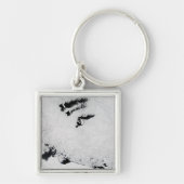 Balleny Islands, vlakbij Antarctica Sleutelhanger (Voorkant)