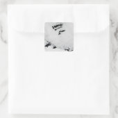 Balleny Islands, vlakbij Antarctica Vierkante Sticker (Tas)