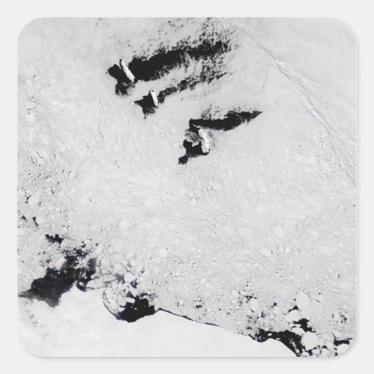 Balleny Islands, vlakbij Antarctica Vierkante Sticker (Voorkant)