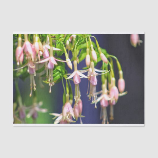 Ballerina bloemen tissuepapier (Voorkant)