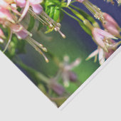 Ballerina bloemen tissuepapier (Detail)