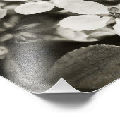 Ballerina Blossom  Foto afdrukken (Hoek)