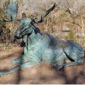 Ballerina en Robot T-shirt