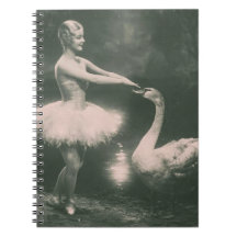 Ballerina en Zwaan Faux Vintage Fotografie