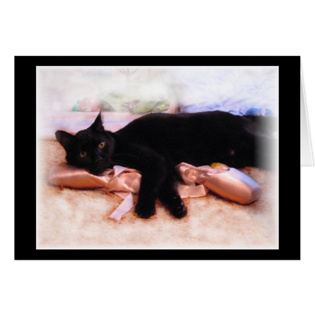 Ballerina Feline (Voorkant Horizontaal)