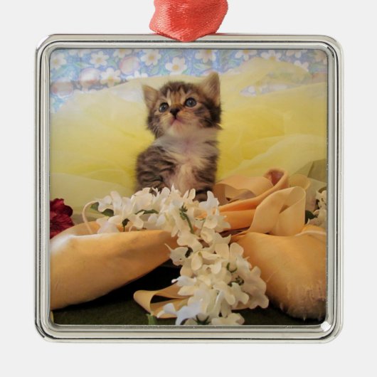Ballerina Kitten Kate Premium Ornament (Voorkant)