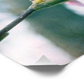Ballerina Magnolia Foto Afdruk (Hoek)
