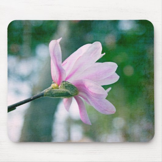 Ballerina Magnolia Muismat (Voorkant)