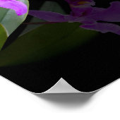 Ballerina met Orchid op Black Poster (Hoek)