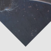 Ballerina Moonlit Tissuepapier (Detail)