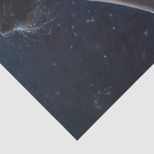 Ballerina Moonlit Tissuepapier (Detail)