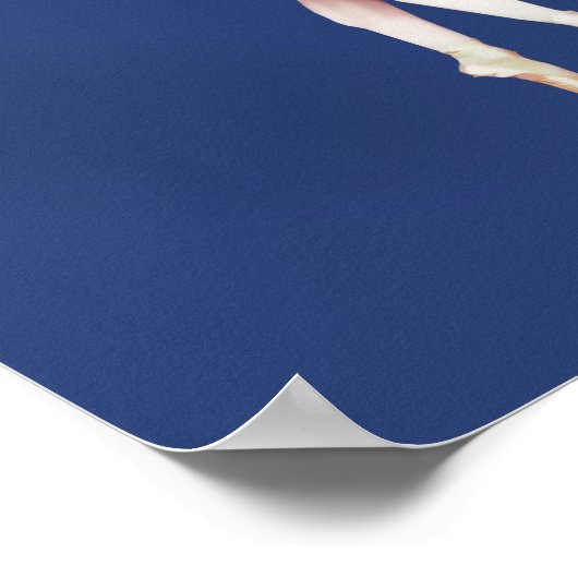 Ballerina on Pointe in Spotlight Poster (Hoek)