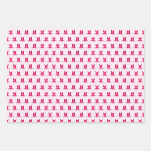 Ballerina Pink Tutu Toe Pointe Shoes Ballet Dance Inpakpapier Vel (Voorkant)