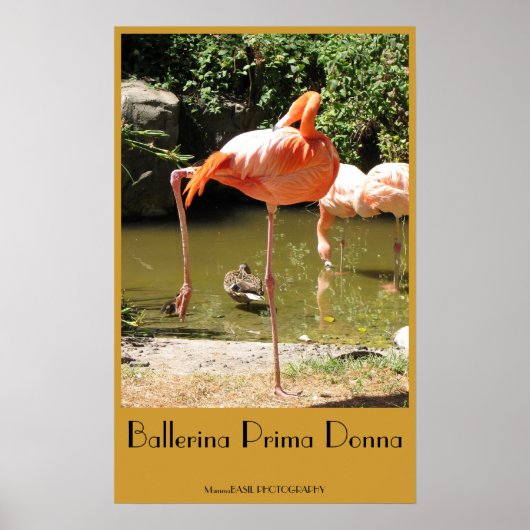 Ballerina Prima Donna Poster! Poster (Voorkant)