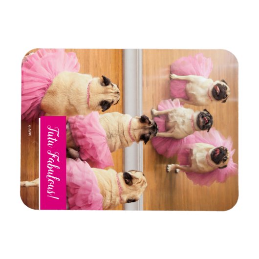Ballerina Pugs in Tutus Magneet (Horizontaal)