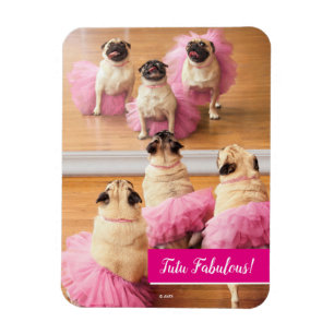 Ballerina Pugs in Tutus Magneet