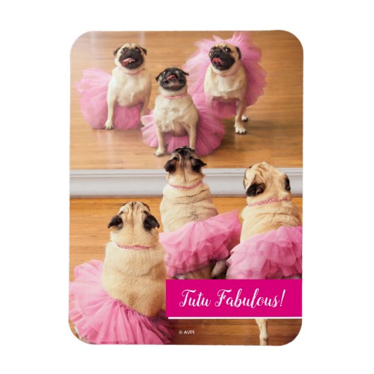 Ballerina Pugs in Tutus Magneet (Verticaal)