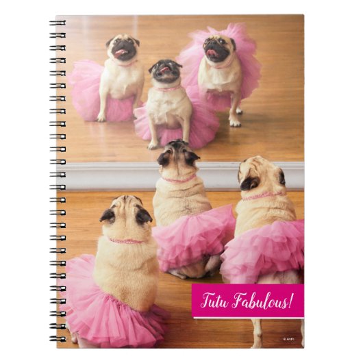 Ballerina Pugs in Tutus Notitieboek (Voorkant)