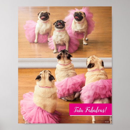 Ballerina Pugs in Tutus Poster (Voorkant)