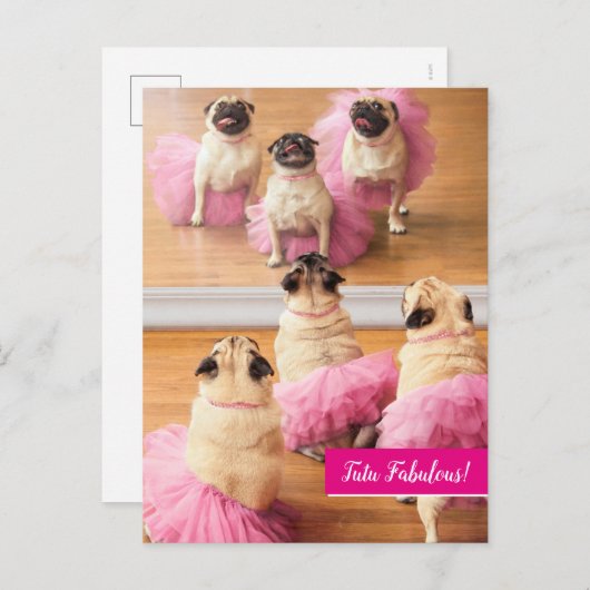 Ballerina Pugs in Tutus Uitnodiging Briefkaart (Voorkant / Achterkant)