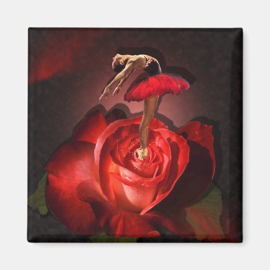 Ballerina Roos - Magnet (Voorkant)