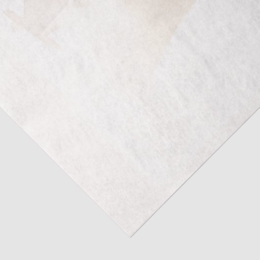 Ballerina Tissuepapier