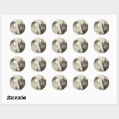 Ballerina Toes (Zwart & Wit) Ronde Sticker (Vel)