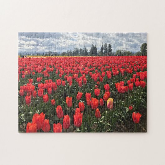 Ballerina Tulips, Oregon Legpuzzel (Horizontaal)