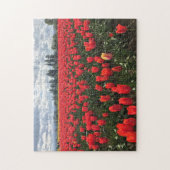 Ballerina Tulips, Oregon Legpuzzel (Verticaal)