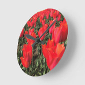 Ballerina Tulips, Oregon Ronde Klok (Hoek)