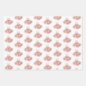 Ballet Ballerina Blush Roze Tutu Dans Schoenen Gir Inpakpapier Vel (Voorkant 2)