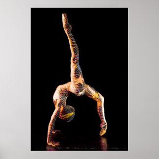 Ballet Dancer-4567XLG Poster