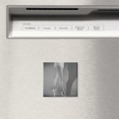 Ballet Dancer Magneet (Insitu (Vaatwasser))