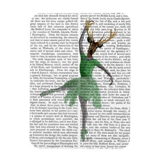 Ballet Deer in Green Magneet (Verticaal)