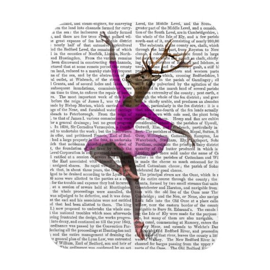 Ballet Deer in Roze Magneet (Verticaal)