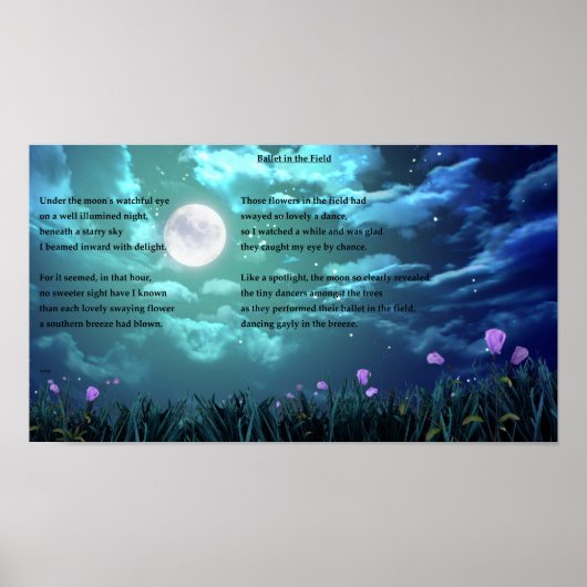 ballet in het veld poster (Voorkant)