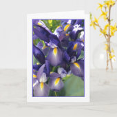 Ballet Iris Photo Wenskaart. Kaart (Gele Bloem)