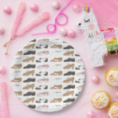 Ballet Jazz Tap Lyrische Acro Karakter Dance Schoe Papieren Bordje (Feest)