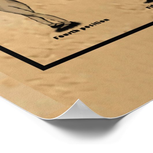 Ballet Knowledge Poster, Ballet Poster (Hoek)